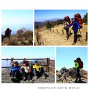 지리산봄날 이미지