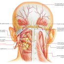 길목한의원 이미지