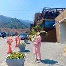 회문산 캠핑장