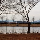 초전공원 이미지