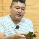 한입쌈 이미지