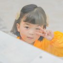 키아시스 이미지