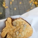 [안암 붕어빵] 3개 천원 소리네 붕어빵 내돈내산 후기 제기동 붕어빵 고대 붕어빵