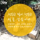 큰에덴농장 이미지