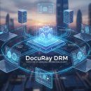 레이솔루션 이미지