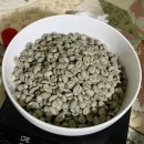 Cofeee Green Bean(커피그린빈) | 커피 생두 로스팅 집에서 하는 법 (ft. 구입처)