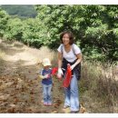 수곡농장 이미지