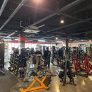 팀스파르타짐