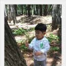 (주)오월에숲