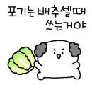 베베토피아 이미지