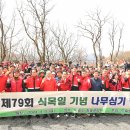 식목일_대구 이미지