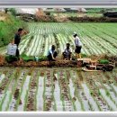 정선동강테라스민박 이미지