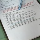 부산시민공원전동차 | [부산 여행] 시민공원 아이랑 산책｜전동차·킥보드·디트로네 대여 후기/스페셜라이더/힛커피