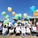 염원의 타임캡슐 이미지