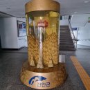 시골순대 이미지