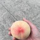 차돌육미 감곡점 이미지