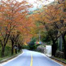 김삿갓면-43 이미지