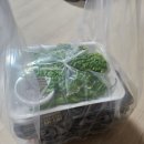 잭아저씨 족발 앞 | 정읍 잭아저씨 족발 후기