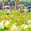 동궁속 이미지