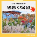 힐링에세이+ 숲(영흥수목원) | 🌿수원 영흥수목원 방문후기 : 도심 속 힐링공간, 사계절 볼거리 가득!