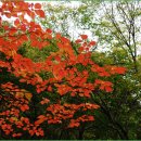 영영축산 이미지