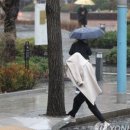 (주)롯데호텔제주 이미지