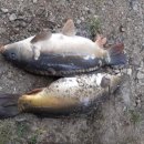 산유낚시터 이미지