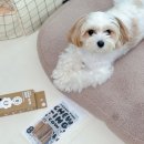 옹심푸드 이미지