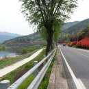 섬진강변 철쭉길 이미지