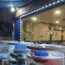 도원수산 | 천호역 횟집 가성비 갑 풍납동 제철회 도원수산 솔직후기