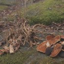 화산마을 이미지