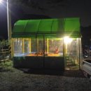 가평물골숲계곡캠핑장 이미지