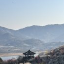 매화마을길 | 전남 광양 봄맞이 “매화마을” 축제 후기 (+ 야장 막걸리)