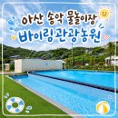 블루비치 관광농원 | 아산 송악 취사가능한 물놀이장 바이림관광농원 명당 주말 방문 후기