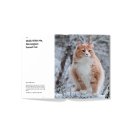 펫앤스토리 이미지