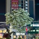 이팝나무떡집