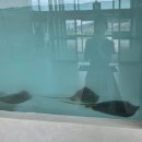 송안초 사거리(119 앞) | 군산 오션팔레트 잠수풀 이용 후기｜스쿠버다이빙 직접 다녀온 솔직 리뷰