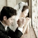 스튜디오42