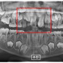 새벽치과의원 이미지