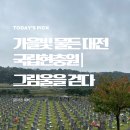 7114 | 대전|국립현충원 충혼당 묘역쉽게 찾는 방법
