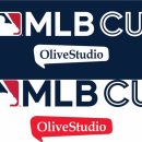 세종제1야구장 이미지