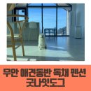 굿나잇도그 이미지