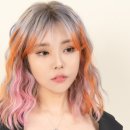 머리카락미용실 이미지