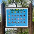 우포늪 | 대구 근교 나들이 추천 창녕 우포늪 후기