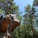 연미산고개 화장실 이미지