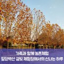 백산금빛캠프장 | 농촌체험 : 밀양백산 금빛 체험장에서의 신나는 하루