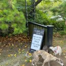 퍼스트 그라운드 | 오프리쉬로 행복한 강아지와 함께 하는 힐링숲 힐링그라운드🌿 feat.키즈케어존