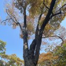 가을걷기코스 이미지