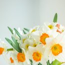 입면 행정복지센터 이미지