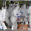 행정죽전로 이미지